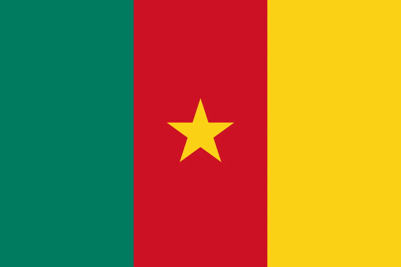 Cameroon flag