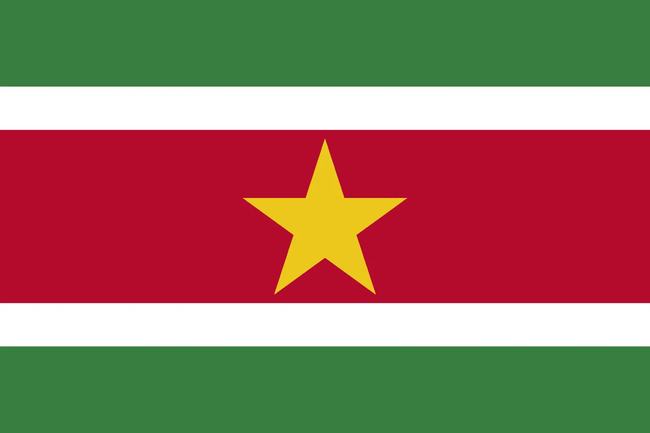 Suriname flag